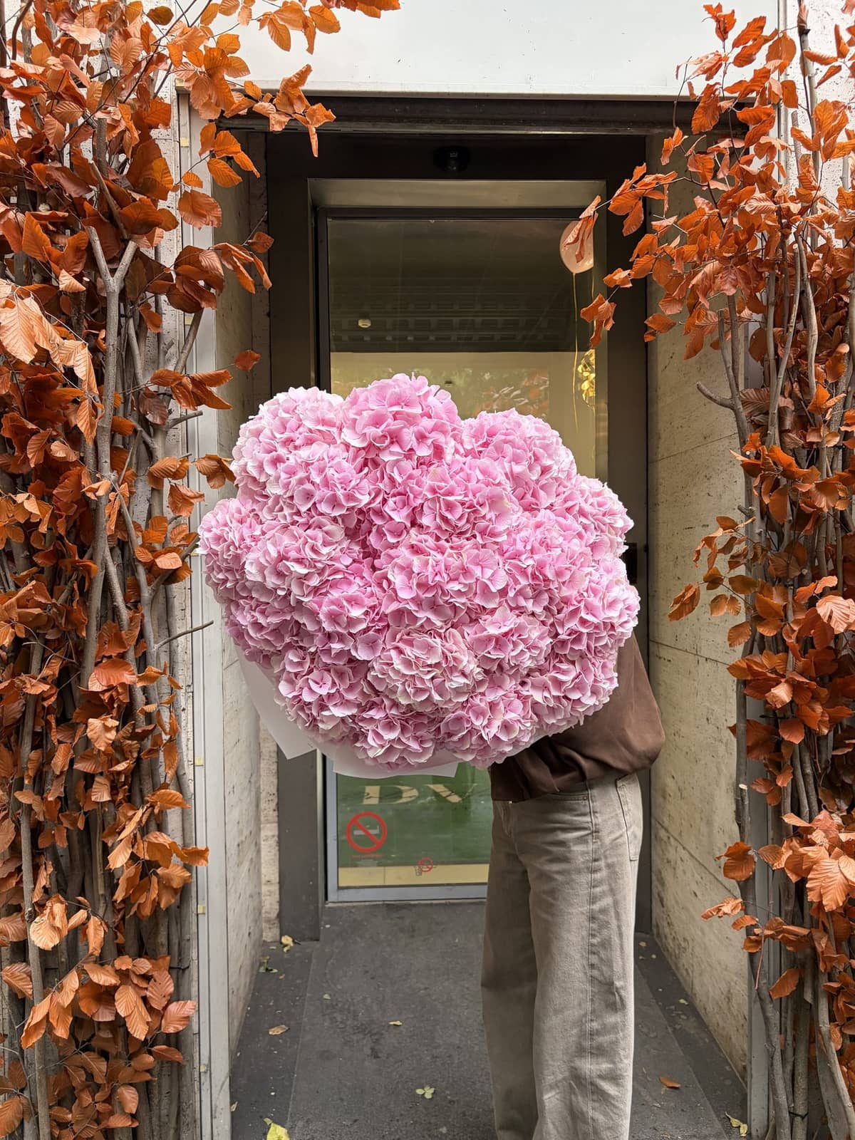 Pink Pompom, photo 2